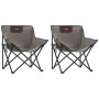 Faltbare Campingstühle mit Tasche, 2 Stück, grau von , Gartenstühle - Ref: Foro24-366550, Preis: 47,83 €, Rabatt: %