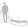 Tumbona con ruedas y cojín ratán sintético gris claro by , Loungers - Ref: Foro24-368313, Price: 163,86 €, Discount: %