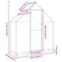 Gewächshaus mit silbernem Aluminiumrahmen 169x58x202 cm von , Gewächshäuser - Ref: Foro24-4005819, Preis: 272,69 €, Rabatt: %