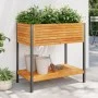 Blumenkasten mit Regal aus massiver Akazie und Stahl 80x45x80 cm von , Töpfe und Pflanzgefäße - Ref: Foro24-367617, Preis: 12...