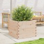 Jardinera de madera maciza de pino 60x60x46 cm by , Pots and planters - Ref: Foro24-3282409, Price: 119,25 €, Discount: %