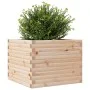 Jardinera de madera maciza de pino 60x60x46 cm by , Pots and planters - Ref: Foro24-3282409, Price: 117,81 €, Discount: %