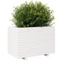 Jardinera madera maciza de pino blanco 70x40x49,5 cm de , Maceteros y jardineras - Ref: Foro24-847369, Precio: 116,57 €, Desc...