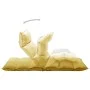 Tumbona de suelo plegable de tela amarillo mostaza de , Sillas de suelo - Ref: Foro24-325242, Precio: 115,23 €, Descuento: %