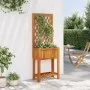 Jardinera con enrejado y estante acacia maciza 55x29,5x152 cm de , Maceteros y jardineras - Ref: Foro24-364898, Precio: 78,93...