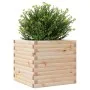 Jardinera de madera maciza de pino 50x50x46 cm de , Maceteros y jardineras - Ref: Foro24-3282404, Precio: 100,96 €, Descuento: %