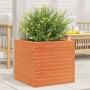 Jardinera exterior madera maciza pino marrón cera 50x50x46 cm by , Pots and planters - Ref: Foro24-3282406, Price: 121,94 €, ...