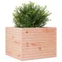 Jardinera de madera maciza Douglas 60x60x46 cm by , Pots and planters - Ref: Foro24-3282412, Price: 124,33 €, Discount: %