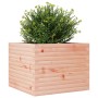 Massive Douglas-Holz-Pflanzkübel 60x60x46 cm von , Töpfe und Pflanzgefäße - Ref: Foro24-3282412, Preis: 125,92 €, Rabatt: %