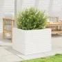 Jardinera de madera maciza de pino blanca 60x60x46 cm by , Pots and planters - Ref: Foro24-3282410, Price: 140,70 €, Discount: %