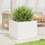 Massive weiße Kiefernholz-Blumenkiste 60x60x46 cm von , Töpfe und Pflanzgefäße - Ref: Foro24-3282410, Preis: 142,53 €, Rabatt: %