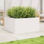 Jardinera de madera maciza de pino blanca 90x90x46 cm de , Maceteros y jardineras - Ref: Foro24-3282425, Precio: 203,85 €