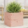 Massive Douglas-Holz-Pflanzkübel 50x50x46 cm von , Töpfe und Pflanzgefäße - Ref: Foro24-3282407, Preis: 107,68 €, Rabatt: %