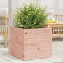 Massive Douglas-Holz-Pflanzkübel 50x50x46 cm von , Töpfe und Pflanzgefäße - Ref: Foro24-3282407, Preis: 107,68 €, Rabatt: %