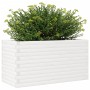 Massive weiße Kiefernholz-Pflanzschale 90x40x46 cm von , Töpfe und Pflanzgefäße - Ref: Foro24-3282445, Preis: 153,10 €, Rabat...
