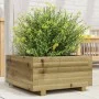 Imprägnierte Kiefernholz-Pflanzschale 50x50x26,5 cm von , Töpfe und Pflanzgefäße - Ref: Foro24-847297, Preis: 72,04 €, Rabatt: %