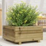 Jardinera de madera de pino impregnada 50x50x26,5 cm de , Maceteros y jardineras - Ref: Foro24-847297, Precio: 75,06 €, Descu...