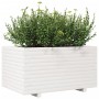 Massive Blumenkasten aus weißer Kiefer 90x60x49,5 cm von , Töpfe und Pflanzgefäße - Ref: Foro24-847384, Preis: 161,31 €, Raba...