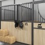 Soporte de bridas de pared de hierro negro de , Accesorios para riendas de caballos - Ref: Foro24-172450, Precio: 10,21 €, De...