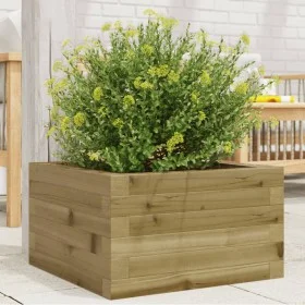 Eingetopfte Kiefernholz-Pflanzschale 40x40x23 cm von , Töpfe und Pflanzgefäße - Ref: Foro24-847182, Preis: 50,49 €, Rabatt: %