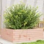 Jardinera madera maciza de abeto Douglas 70x70x23 cm by , Pots and planters - Ref: Foro24-847196, Price: 61,99 €, Discount: %