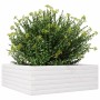 Jardinera de madera maciza de pino blanca 70x70x23 cm by , Pots and planters - Ref: Foro24-847194, Price: 69,54 €, Discount: %