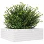 Massive weiße Kiefernholz-Blumenkasten 70x70x23 cm von , Töpfe und Pflanzgefäße - Ref: Foro24-847194, Preis: 68,81 €, Rabatt: %