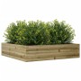 Eingelassener Kiefernholz-Pflanzkasten 100x100x23 cm von , Töpfe und Pflanzgefäße - Ref: Foro24-847212, Preis: 105,45 €, Raba...