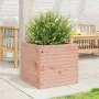 Massive Blumenkasten aus Douglasien-Tannenholz, 50x50x45,5 cm. von , Töpfe und Pflanzgefäße - Ref: Foro24-847246, Preis: 83,4...