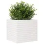 Jardinera madera maciza de pino blanco 50x50x45,5 cm by , Pots and planters - Ref: Foro24-847244, Price: 84,81 €, Discount: %
