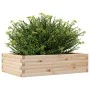 Jardinera de madera maciza de pino 90x60x23 cm de , Maceteros y jardineras - Ref: Foro24-847233, Precio: 62,39 €, Descuento: %