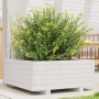 Jardinera de madera maciza de pino blanco 60x60x26,5 cm von , Töpfe und Pflanzgefäße - Ref: Foro24-847299, Preis: 75,30 €, Ra...