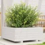 Jardinera de madera maciza de pino blanco 60x60x26,5 cm von , Töpfe und Pflanzgefäße - Ref: Foro24-847299, Preis: 74,37 €, Ra...