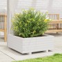 Jardinera de madera maciza de pino blanco 60x60x26,5 cm von , Töpfe und Pflanzgefäße - Ref: Foro24-847299, Preis: 75,30 €, Ra...