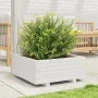 Jardinera de madera maciza de pino blanco 60x60x26,5 cm von , Töpfe und Pflanzgefäße - Ref: Foro24-847299, Preis: 74,37 €, Ra...