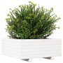 Jardinera de madera maciza de pino blanco 60x60x26,5 cm von , Töpfe und Pflanzgefäße - Ref: Foro24-847299, Preis: 75,30 €, Ra...