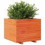 Jardinera madera maciza de pino marrón cera 60x60x49,5 cm von , Töpfe und Pflanzgefäße - Ref: Foro24-847360, Preis: 127,17 €,...
