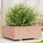Jardinera madera maciza de abeto Douglas 60x60x26,5 cm de , Maceteros y jardineras - Ref: Foro24-847301, Precio: 66,24 €, Des...
