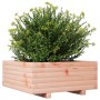 Jardinera madera maciza de abeto Douglas 60x60x26,5 cm von , Töpfe und Pflanzgefäße - Ref: Foro24-847301, Preis: 66,91 €, Rab...