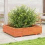 Jardinera de madera maciza de pino marrón cera 100x100x26,5 cm von , Töpfe und Pflanzgefäße - Ref: Foro24-847320, Preis: 115,...