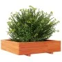 Jardinera de madera maciza de pino marrón cera 100x100x26,5 cm von , Töpfe und Pflanzgefäße - Ref: Foro24-847320, Preis: 115,...