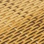 Light brown synthetic rattan balcony awning 300x100 cm by , fence panels - Ref: Foro24-156267, Price: 50,11 €, Discount: %