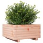 Massive Douglasie-Holz-Pflanzkübel 50x50x26,5 cm von , Töpfe und Pflanzgefäße - Ref: Foro24-847296, Preis: 57,08 €, Rabatt: %