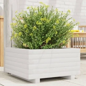 Massive Blumenkasten aus weißer Kiefer 50x50x26,5 cm von , Töpfe und Pflanzgefäße - Ref: Foro24-847294, Preis: 63,53 €, Rabat...