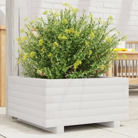 Massive Blumenkasten aus weißer Kiefer 50x50x26,5 cm von , Töpfe und Pflanzgefäße - Ref: Foro24-847294, Preis: 63,53 €, Rabat...
