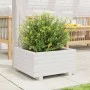Jardinera de madera maciza de pino blanco 50x50x26,5 cm by , Pots and planters - Ref: Foro24-847294, Price: 63,51 €, Discount: %