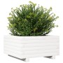 Jardinera de madera maciza de pino blanco 50x50x26,5 cm de , Maceteros y jardineras - Ref: Foro24-847294, Precio: 64,19 €, De...