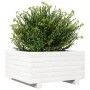 Massive Blumenkasten aus weißer Kiefer 50x50x26,5 cm von , Töpfe und Pflanzgefäße - Ref: Foro24-847294, Preis: 63,53 €, Rabat...