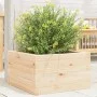 Jardinera de madera maciza de pino 40x40x23 cm by , Pots and planters - Ref: Foro24-847178, Price: 37,78 €, Discount: %