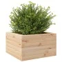 Jardinera de madera maciza de pino 40x40x23 cm by , Pots and planters - Ref: Foro24-847178, Price: 37,78 €, Discount: %